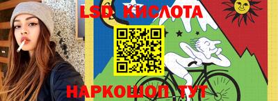 прущие грибы Заводоуковск