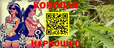 прущие грибы Заводоуковск