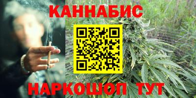 шишки Жуковский